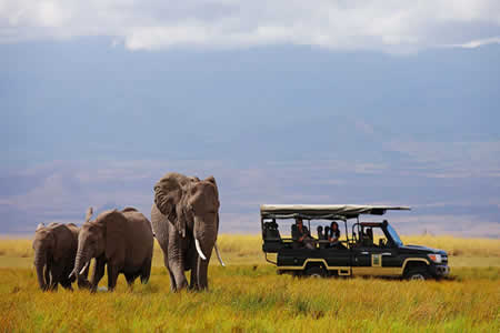 4 Days Masai Mara Safari