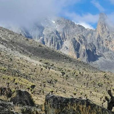 Mt Kenya6
