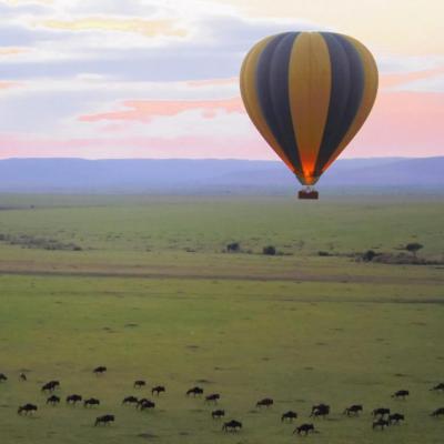 Balloon Safari2