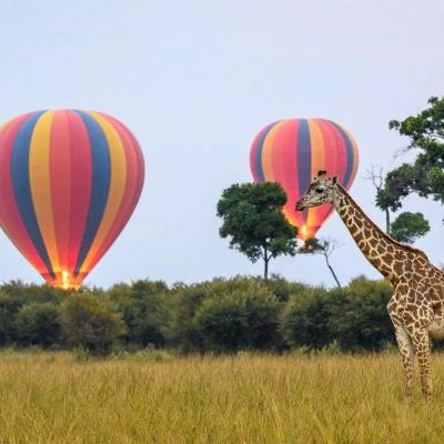 Balloon Safari4